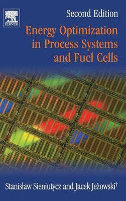 Stanislaw Sieniutycz, Jacek Jezowski - Energy Optimization in Process Systems and Fuel Cells, Inbunden