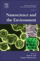 Nanoscience and the Environment, Inbunden