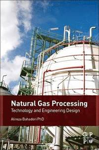 bokomslag Natural Gas Processing