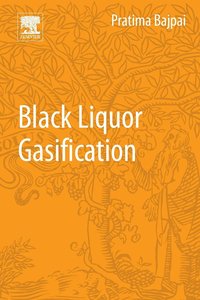 bokomslag Black Liquor Gasification