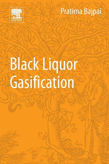 bokomslag Black Liquor Gasification