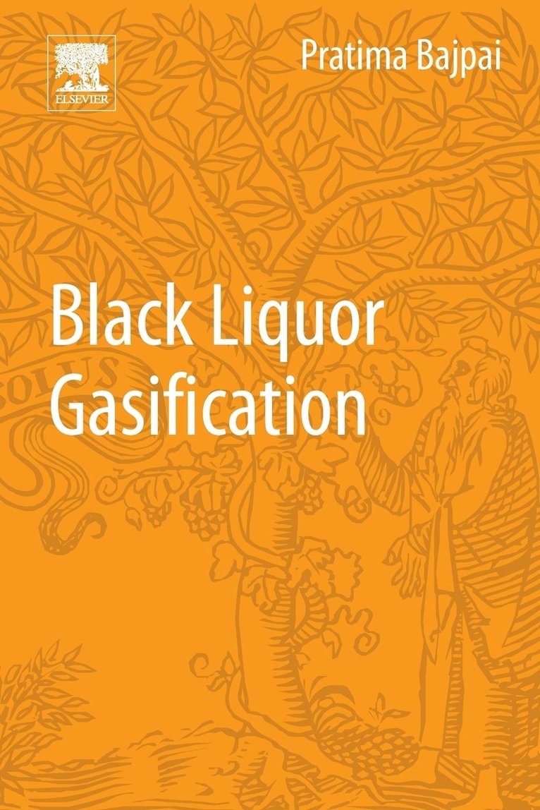 Black Liquor Gasification 1