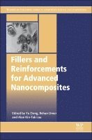 Yu Dong, Rehan Umer, Alan Kin Tak Lau - Fillers and Reinforcements for Advanced Nanocomposites, Inbunden
