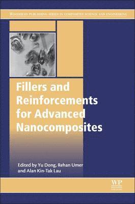 Fillers and Reinforcements for Advanced Nanocomposites 1