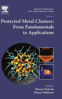 bokomslag Protected Metal Clusters: From Fundamentals to Applications