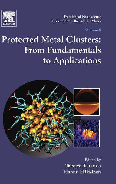 bokomslag Protected Metal Clusters: From Fundamentals to Applications