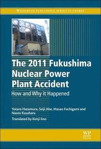 bokomslag The 2011 Fukushima Nuclear Power Plant Accident