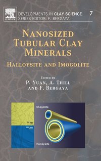 bokomslag Nanosized Tubular Clay Minerals