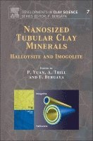 bokomslag Nanosized Tubular Clay Minerals