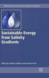 bokomslag Sustainable Energy from Salinity Gradients