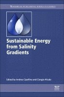 bokomslag Sustainable Energy from Salinity Gradients