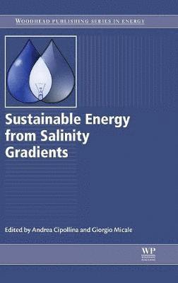 Sustainable Energy from Salinity Gradients 1