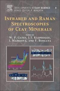 bokomslag Infrared and Raman Spectroscopies of Clay Minerals