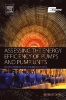 bokomslag Assessing the Energy Efficiency of Pumps and Pump Units