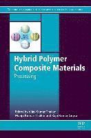 bokomslag Hybrid Polymer Composite Materials