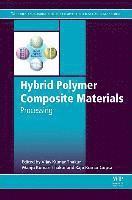 Hybrid Polymer Composite Materials 1