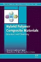 bokomslag Hybrid Polymer Composite Materials: Structure and Chemistry