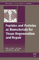 bokomslag Peptides and Proteins as Biomaterials for Tissue Regeneration and Repair