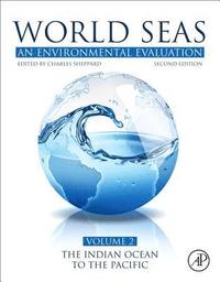 bokomslag World Seas: An Environmental Evaluation