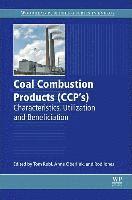 bokomslag Coal Combustion Products (CCPs)