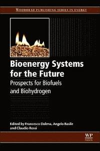 bokomslag Bioenergy Systems for the Future