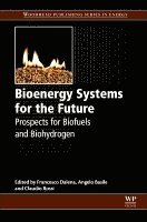 Francesco Dalena, Angelo Basile, Claudio Rossi - Bioenergy Systems for the Future, Inbunden