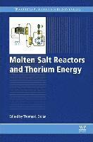 bokomslag Molten Salt Reactors and Thorium Energy