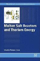 Molten Salt Reactors and Thorium Energy 1