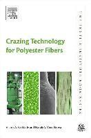 bokomslag Crazing Technology for Polyester Fibers