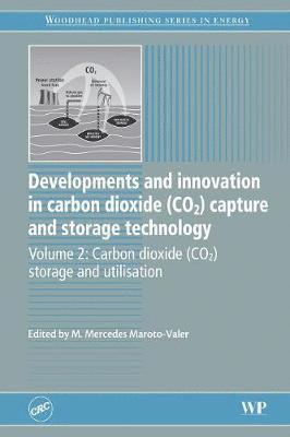 M. Mercedes Maroto-Valer - Developments and Innovation in Carbon Dioxide (CO2) Capture and Storage Technology, Häftad