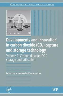 bokomslag Developments and Innovation in Carbon Dioxide (CO2) Capture and Storage Technology