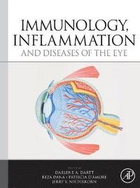 bokomslag Immunology, Inflammation and Diseases of the Eye