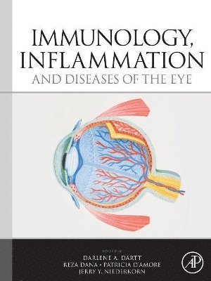Darlene A. Dartt, Reza Dana, Patricia D'Amore, Jerry Niederkorn - Immunology, Inflammation and Diseases of the Eye, Häftad
