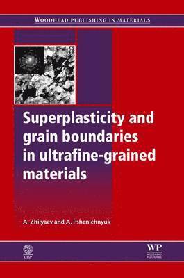 Peter M. Burgess, Anatoly I. Pshenichnyuk - Superplasticity and Grain Boundaries in Ultrafine-Grained Materials, Häftad