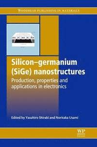 bokomslag Silicon-Germanium (SiGe) Nanostructures