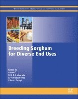Aruna C, K.B.R.S. Visarada, B. Venkatesh Bhat, Vilas A. Tonapi - Breeding Sorghum for Diverse End Uses, Inbunden