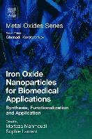 bokomslag Iron Oxide Nanoparticles for Biomedical Applications