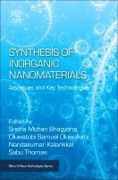 Sneha Bhagyaraj, Oluwatobi Samuel Oluwafemi, Nandakumar Kalarikkal, Sabu Thomas - Synthesis of Inorganic Nanomaterials, Häftad