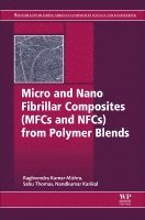 Raghvendra Kumar Mishra, Sabu Thomas, Nandakumar Kalarikkal - Micro and Nano Fibrillar Composites (MFCs and NFCs) from Polymer Blends, Häftad