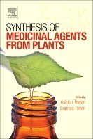Ashish Kumar Tewari, Supriya Tiwari - Synthesis of Medicinal Agents from Plants, Häftad