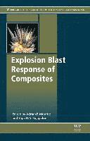 bokomslag Explosion Blast Response of Composites
