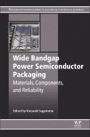 Katsuaki Suganuma - Wide Bandgap Power Semiconductor Packaging, Häftad