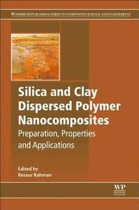 bokomslag Silica and Clay Dispersed Polymer Nanocomposites