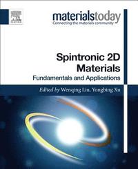 bokomslag Spintronic 2D Materials