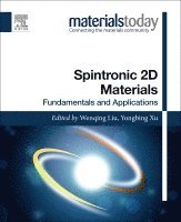 Wenqing Liu, Yongbing Xu - Spintronic 2D Materials, Häftad