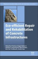 Fernando Pacheco-Torgal, Robert E. Melchers, Xianming Shi, Nele de Belie, Kim Van Tittelboom, Andres Saez Perez - Eco-efficient Repair and Rehabilitation of Concrete Infrastructures, Häftad