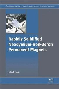bokomslag Rapidly Solidified Neodymium-Iron-Boron Permanent Magnets