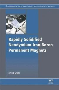 bokomslag Rapidly Solidified Neodymium-Iron-Boron Permanent Magnets