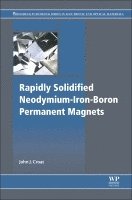 John J. Croat, John J Croat - Rapidly Solidified Neodymium-Iron-Boron Permanent Magnets, Häftad