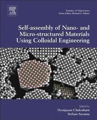 bokomslag Computational Modelling of Nanoparticles